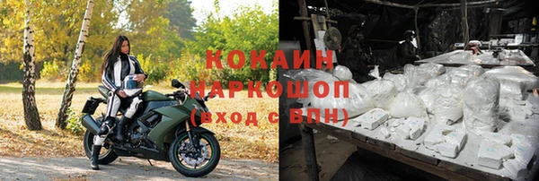 амф Краснослободск