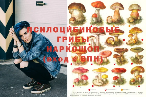 амф Краснослободск