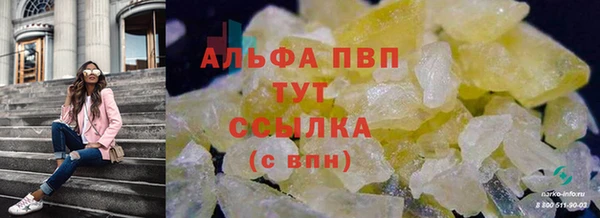 прущие крисы Коряжма