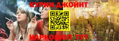 стаф Заводоуковск