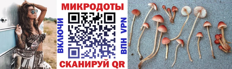 Галлюциногенные грибы Psilocybe Коркино