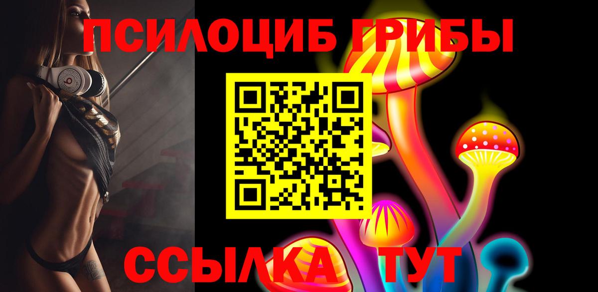 Псилоцибиновые грибы мицелий  Вход с VPN  Коркино 